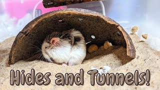 5 Cheap DIY Hides and Tunnels for Hamsters [upl. by Suzette701]