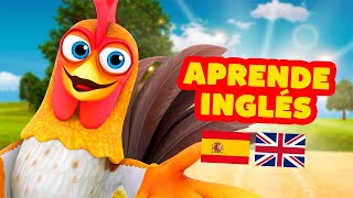 ¡A Cantar y Aprender Inglés con Bartolito  El Reino Dice [upl. by Nafis]