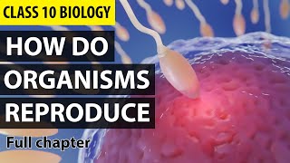 How Do Organisms Reproduce Class 10 Full Chapter Animation  Class 10 Science Chapter 8  NCERT [upl. by Lasyrc600]