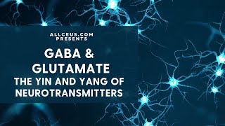 Neurotransmitters and Mood GABA amp Glutamate [upl. by Nagiam]