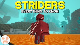 Minecrafts New LAVA STRIDER MOB  Complete Strider Guide  Minecraft 116 Nether Update [upl. by Parthenia]