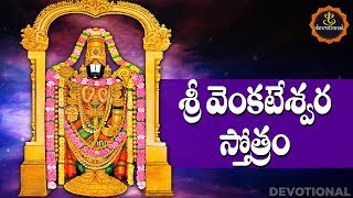 SRI VENKATESWARA STOTRAM TELUGU LYRICS AND MEANINGS [upl. by Wolliw]