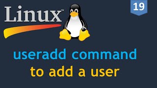 19  Linux for DevOps  Creating a User  useradd command  How to add a user on Linux [upl. by Nehcterg]