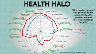 What is the Halo Effect cognitive bias [upl. by Nelsen]