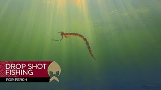 Dropshot fishing for Perch  WestinFishing [upl. by Tevis]