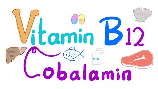 Vitamin B12 Cobalamin 🐚 🥩 🐠  Most Comprehensive Explanation [upl. by Aihsenat605]