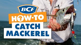 How to Catch Mackerel  BCF How To [upl. by Aerbma]