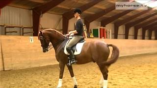 Dressage Exercise  Walk Pirouettes [upl. by Burwell]