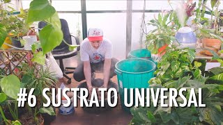 6 SUSTRATO Universal para tus plantas [upl. by Nifled489]