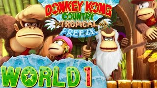 Donkey Kong Country Tropical Freeze  World 1 Coop [upl. by Borszcz372]