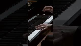 CHOPIN Ballade No 1 110 [upl. by Liana]