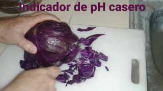 Indicador de pH caseroRepollo morado [upl. by Nosac870]