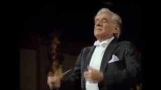 Brahms  Tragic Overture Bernstein [upl. by Alyacim]