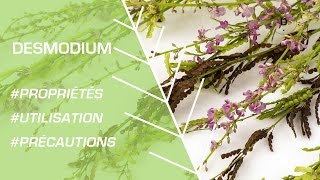 Comment utiliser le desmodium   Phytothérapie [upl. by Sanyu]