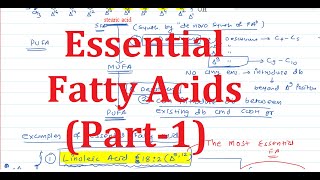 8 Essential Fatty Acids Part1 [upl. by Adnwahs108]