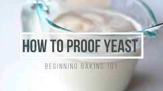 How to Proof Yeast and Why You Want to [upl. by Junji769]