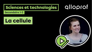 La cellule  Sciences et technologies  Alloprof [upl. by Necaj]