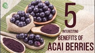 5 Interesting Benefits Of Acai Berries  Organic Facts [upl. by Oleg]