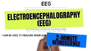 2Minute Neuroscience Electroencephalography EEG [upl. by Placida]