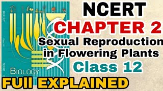 NCERT Ch2 Sexual Reproduction in Flowering plants class 12 Biology Full Explanation For BOARDSNEET [upl. by Boleslaw]