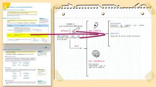 Cómo hacer un esquema [upl. by Brookner]