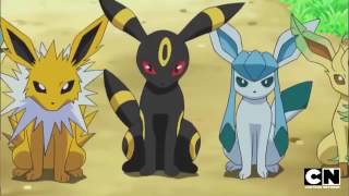 Eevee Evolutions  different possible evolutions fo Eevee  Elite pokemon [upl. by Melvena667]