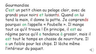 CM1 dictée préparée n°3 [upl. by Kinsley]