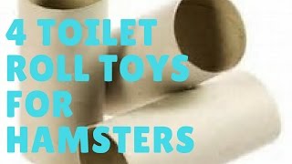 4 Easy DIY Hamster Toys To Make From Cardboard [upl. by Ainoda]