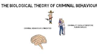 GCSE Psychology Criminal behaviour Biological theory [upl. by Sucam93]