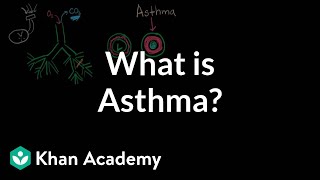 What is asthma  Respiratory system diseases  NCLEXRN  Khan Academy [upl. by Adnohsad]