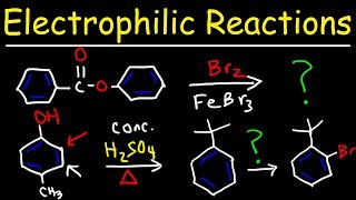 Electrophilic Aromatic Substitution Reactions Made Easy [upl. by Nedda]