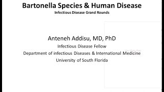 Bartonellosis  Antoneh Addisu MD [upl. by Rezal]