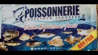 POISSONNERIE  Ce quil faut savoir dans ce Business [upl. by Knowles]