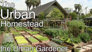 Dervaes Family Farm  The Urban Homestead  Episode 94 [upl. by Hayotal]