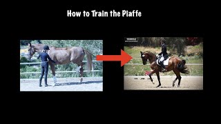 How to Train the Piaffe [upl. by Nowahs531]