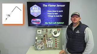 Checking a Flame Sensor [upl. by Niwled]