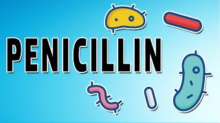 Penicillin Mechanism and Side Effects [upl. by Leuas]