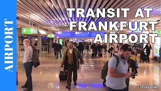 TRANSIT WALK AT FRANKFURT Airport FRA Terminal 1  Connection Flight Transfer Arriving amp Departing [upl. by Molli]