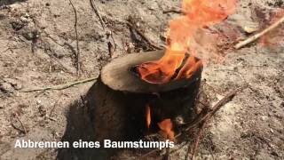 Abbrennen eines Baumstumpfes [upl. by Lledner288]