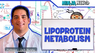 Metabolism  Lipoprotein Metabolism  Chylomicrons VLDL IDL LDL amp HDL [upl. by Akcinehs]