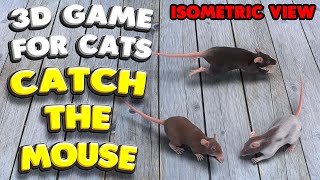 3D game for cats  CATCH THE MOUSE isometric view [upl. by Ettener]