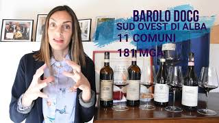 Barolo amp Barbaresco differenze [upl. by Dreddy]