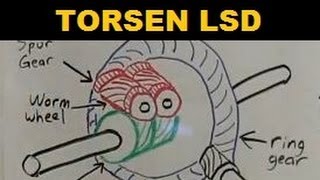 Torsen Limited Slip Differential  Explained [upl. by Runkle]