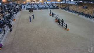 Topeka Livestock Auction Live Stream [upl. by Allana]