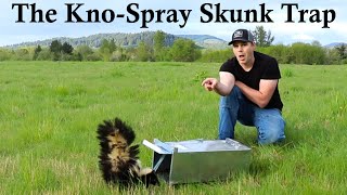 I Got Sprayed By A Skunk Testing Out The KnoSpray Skunk Trap Mousetrap Monday [upl. by Onairotciv]