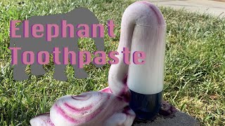 Elephant Toothpaste Experiment made easy [upl. by Sulrac]