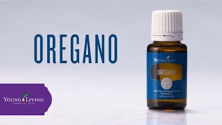 Oregano Essential Oil Benefits amp Uses  Young Living Essential Oils [upl. by Dawkins43]