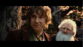 The Hobbit Bilbos Speech  Why did you come back [upl. by Annaul]