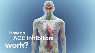 How do ACE inhibitors work [upl. by Dupin]