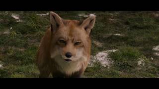 The Chronicles of Narnia  Fox To Stone HD [upl. by Ellerrad]